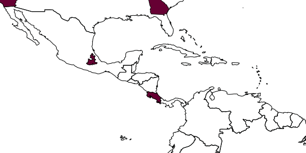 map of Gonatopus canadensis     (Olmi, 1984)